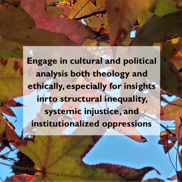 Image of fall maple leaves with text overlay that reads: "Engage in cultural and political analysis both theology and ethically, especially for insights inrto structural inequality, systemic injustice, and institutionalized oppressions."
