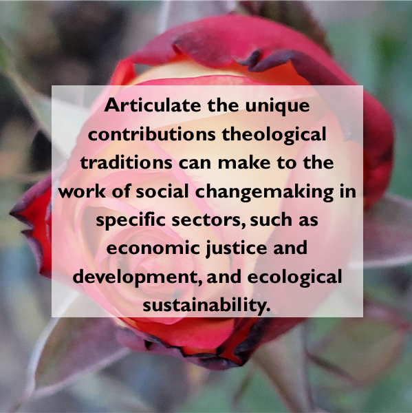 Image of a red and white rose with text overlay that reads: "Articulate the unique contributions theological 
traditions can make to the work of social changemaking in specific sectors, such as economic justice and 
development, and ecological sustainability."